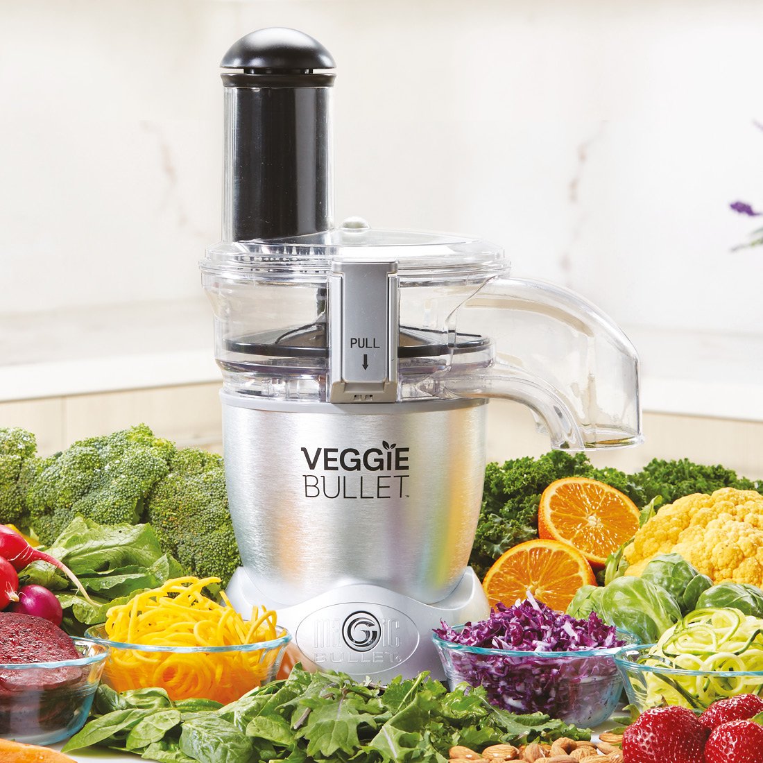 veggie bullet food processor