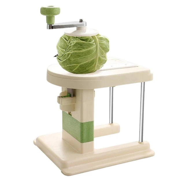 shred cabbage food processor