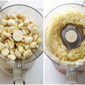 mince garlic in a food processor